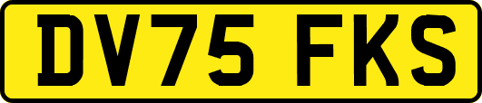 DV75FKS