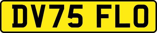 DV75FLO