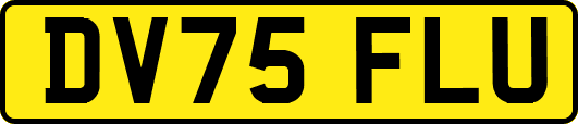 DV75FLU