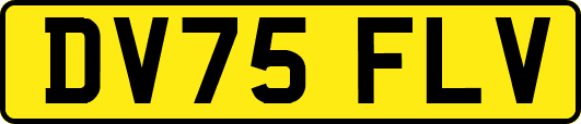 DV75FLV