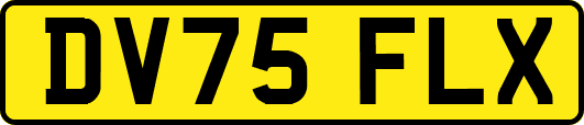 DV75FLX