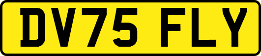 DV75FLY