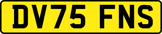 DV75FNS