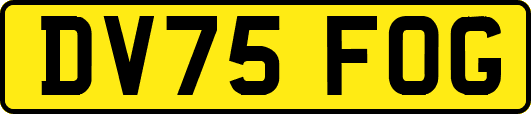 DV75FOG