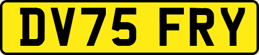 DV75FRY