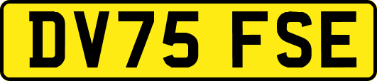 DV75FSE