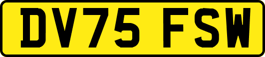 DV75FSW