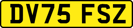 DV75FSZ