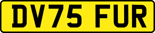 DV75FUR