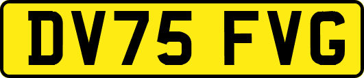DV75FVG