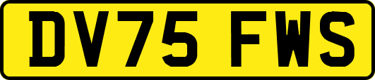 DV75FWS