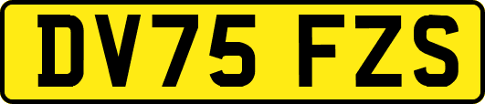 DV75FZS