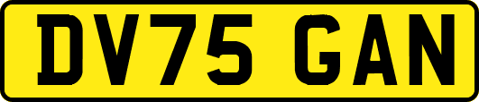 DV75GAN