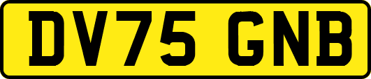 DV75GNB