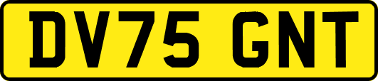 DV75GNT
