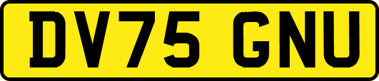 DV75GNU