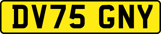 DV75GNY