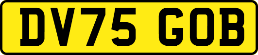 DV75GOB