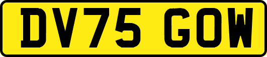 DV75GOW