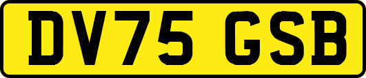 DV75GSB