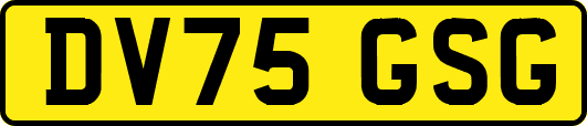 DV75GSG