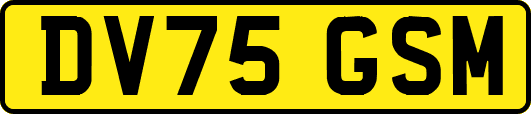 DV75GSM