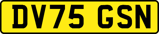 DV75GSN