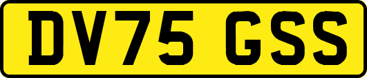 DV75GSS
