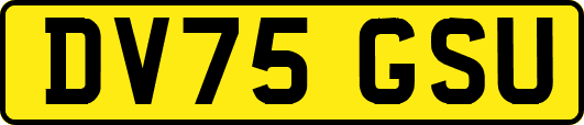 DV75GSU