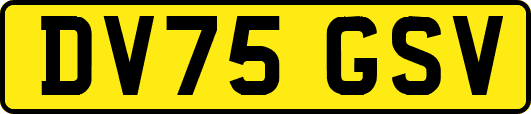 DV75GSV