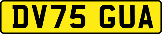 DV75GUA