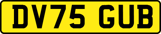 DV75GUB