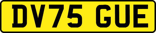 DV75GUE