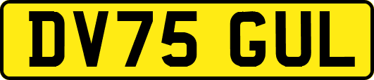 DV75GUL