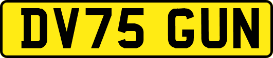 DV75GUN