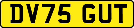 DV75GUT