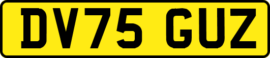 DV75GUZ