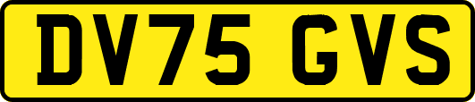 DV75GVS