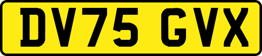 DV75GVX
