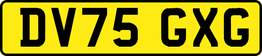 DV75GXG