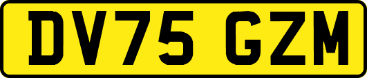 DV75GZM