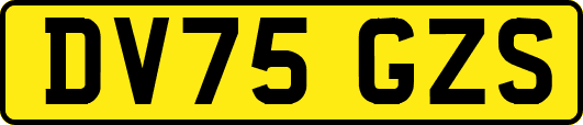 DV75GZS