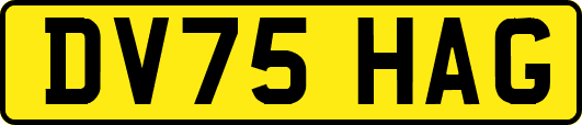 DV75HAG