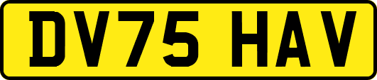 DV75HAV