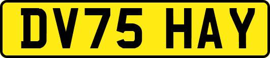 DV75HAY