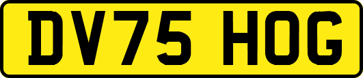DV75HOG