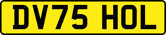 DV75HOL