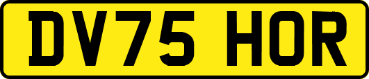 DV75HOR