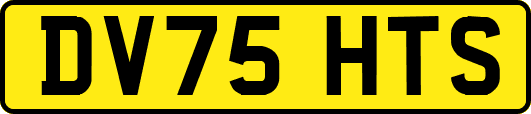 DV75HTS