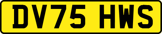 DV75HWS